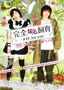 《完全饲育：专属女仆》：禁锢的欲望与扭曲的爱，揭示人性深渊中的另类“人生”