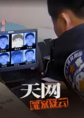 《天网：罪案疑云》：迷雾重重，真相何在？一部颠覆你认知的悬疑惊悚佳作！